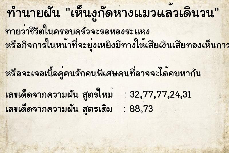 ทำนายฝันทำนายฝันเห็นงูกัดหางแมวแล้วเดินวน