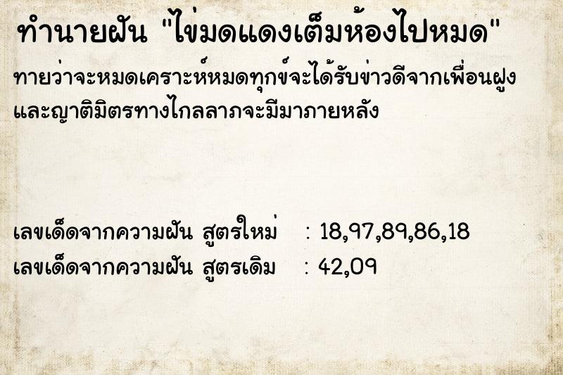 ทำนายฝันทำนายฝันไข่มดแดงเต็มห้องไปหมด