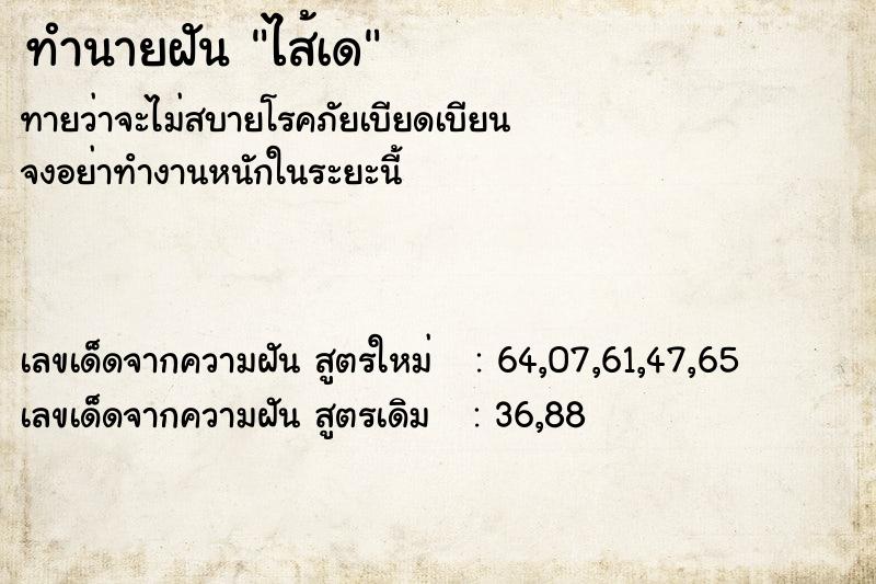 ทำนายฝันไส้เด ทำนายฝันทำนายฝันไส้เด