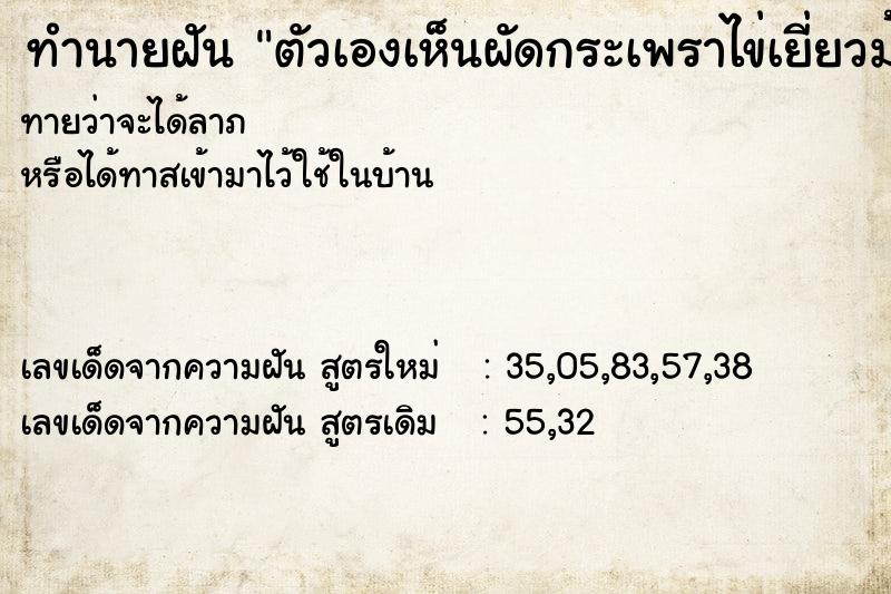 ทำนายฝันตัวเองเห็นผัดกระเพราไข่เยี่ยวม้าราดข้าวเต็มจาน ทำนายฝันทำนายฝันตัวเองเห็นผัดกระเพราไข่เยี่ยวม้าราดข้าวเต็มจาน