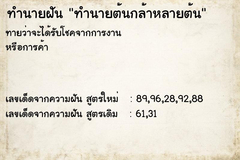 ทำนายฝันทำนายฝันทำนายต้นกล้าหลายต้น