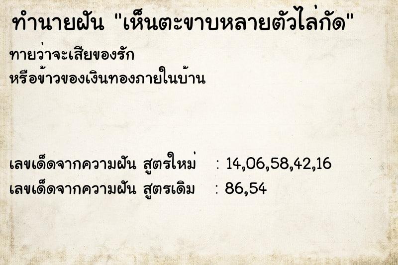 ทำนายฝันเห็นตะขาบหลายตัวไล่กัด ทำนายฝันทำนายฝันเห็นตะขาบหลายตัวไล่กัด