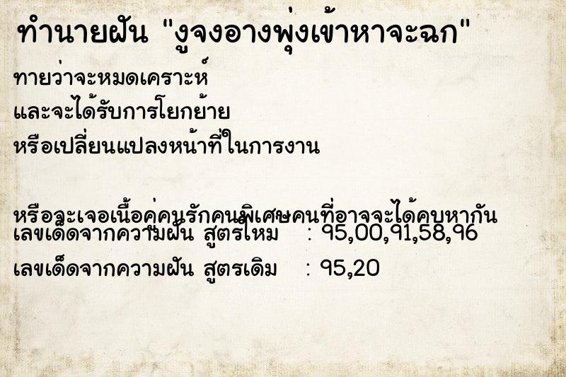 ทำนายฝันงูจงอางพุ่งเข้าหาจะฉก ทำนายฝันทำนายฝันงูจงอางพุ่งเข้าหาจะฉก
