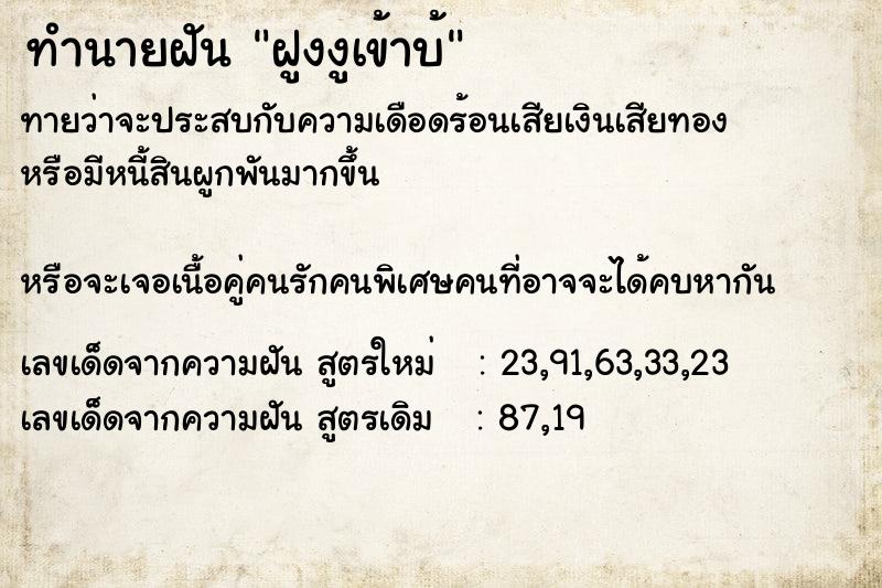 ทำนายฝันฝูงงูเข้าบ้ ทำนายฝันทำนายฝันฝูงงูเข้าบ้