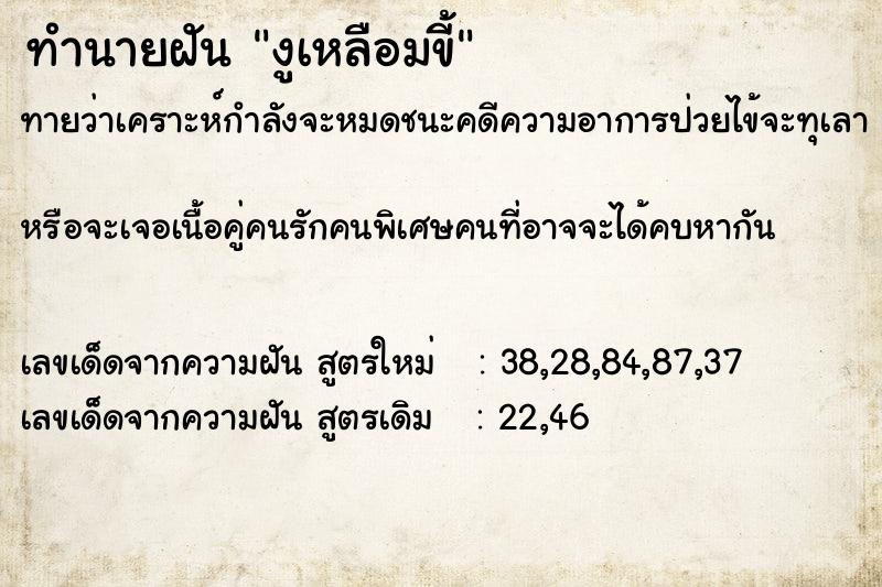 ทำนายฝันงูเหลือมขี้ ทำนายฝันทำนายฝันงูเหลือมขี้