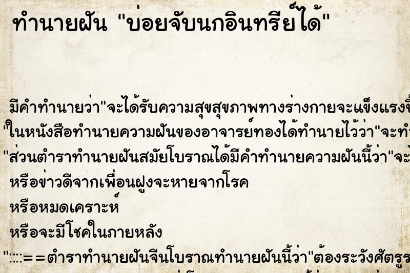 ทำนายฝัน บ่อยจับนกอินทรีย์ได้ ทำนายฝัน บ่อยจับนกอินทรีย์ได้