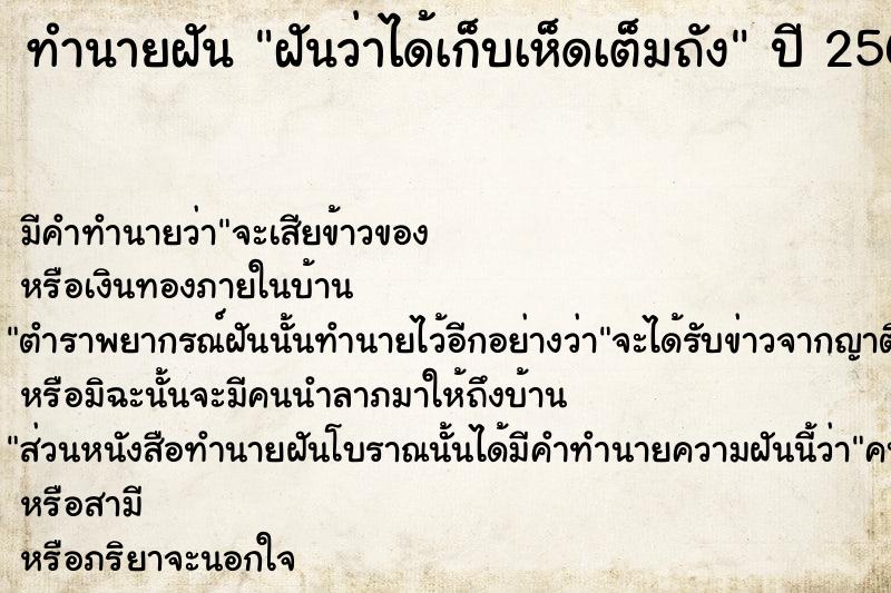 ทำนายฝันฝันว่าได้เก็บเห็ดเต็มถัง ทำนายฝันทำนายฝันฝันว่าได้เก็บเห็ดเต็มถัง