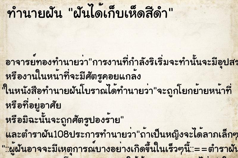 ทำนายฝัน ฝันได้เก็บเห็ดสีดำ ทำนายฝัน ฝันได้เก็บเห็ดสีดำ