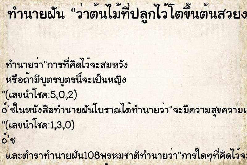 ทำนายฝันว่าต้นไม้ที่ปลูกไว้โตขึ้นต้นสวยงาม ทำนายฝันทำนายฝันว่าต้นไม้ที่ปลูกไว้โตขึ้นต้นสวยงาม