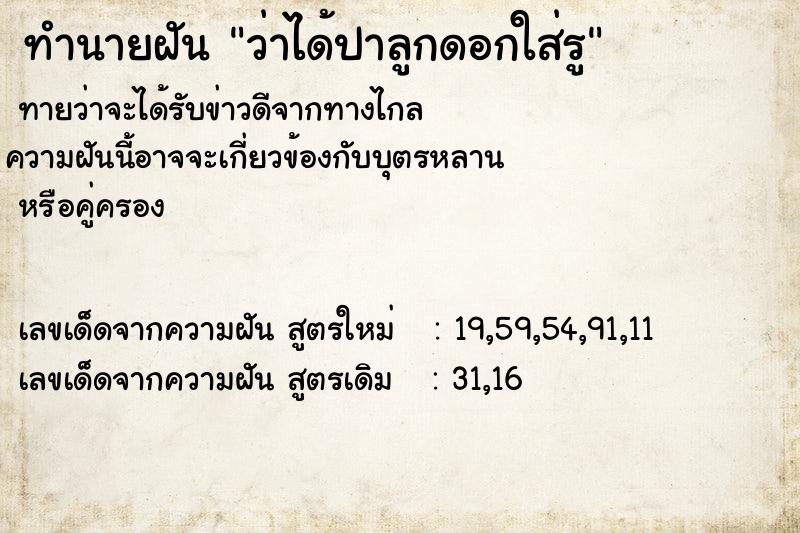 ทำนายฝันว่าได้ปาลูกดอกใส่รู ทำนายฝันทำนายฝันว่าได้ปาลูกดอกใส่รู