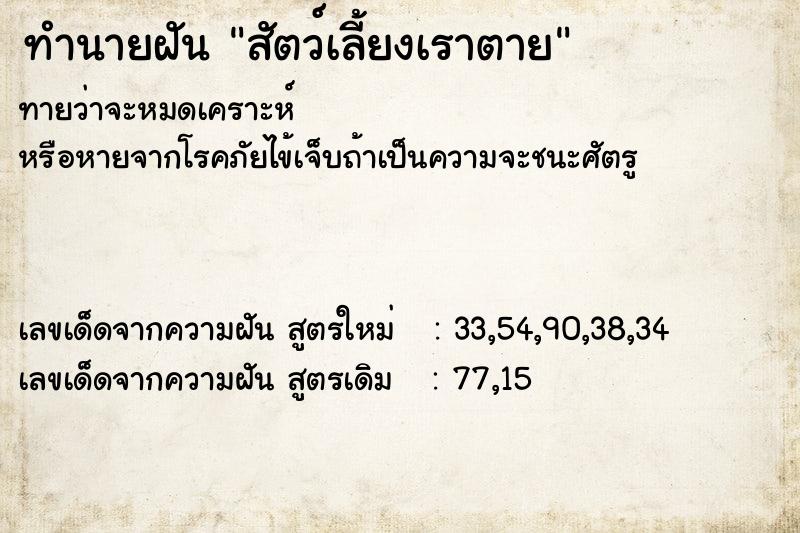 ทำนายฝันสัตว์เลี้ยงเราตาย ทำนายฝันทำนายฝันสัตว์เลี้ยงเราตาย