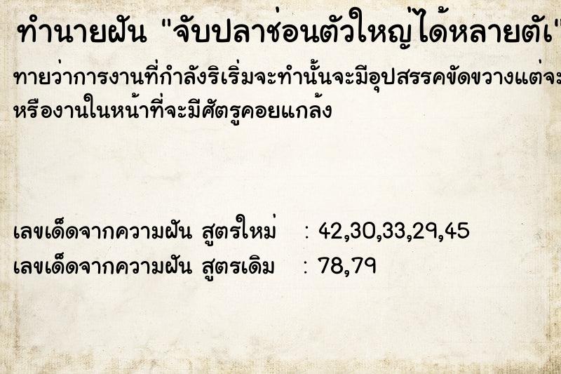 ทำนายฝัน จับปลาช่อนตัวใหญ่ได้หลายตัà ทำนายฝัน จับปลาช่อนตัวใหญ่ได้หลายตัà