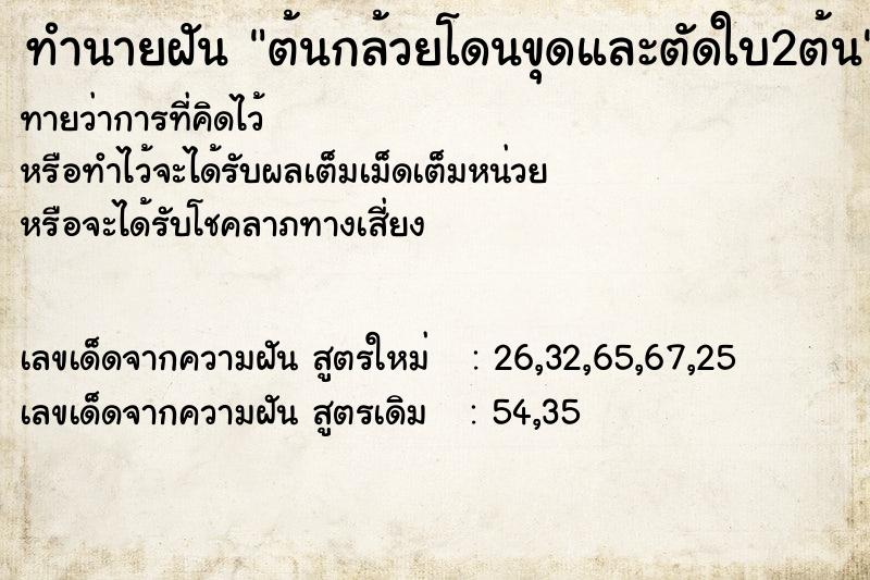 ทำนายฝัน ต้นกล้วยโดนขุดและตัดใบ2ต้น ทำนายฝัน ต้นกล้วยโดนขุดและตัดใบ2ต้น