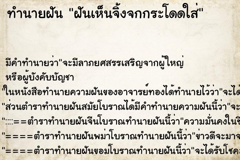 ทำนายฝัน ฝันเห็นจิ้งจกกระโดดใส่ ทำนายฝัน ฝันเห็นจิ้งจกกระโดดใส่