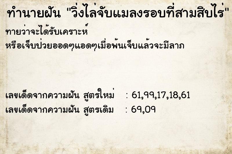 ทำนายฝันวิ่งไล่จับแมลงรอบที่สามสิบไร่ ทำนายฝันทำนายฝันวิ่งไล่จับแมลงรอบที่สามสิบไร่