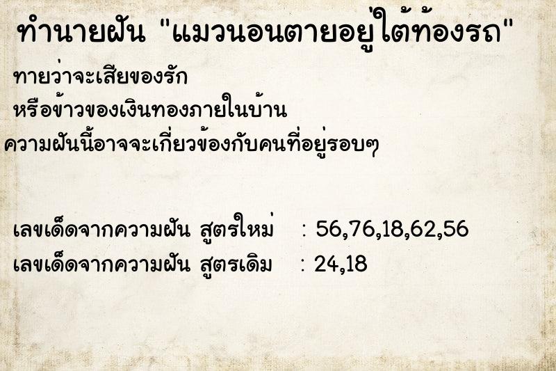 ทำนายฝันทำนายฝันแมวนอนตายอยู่ใต้ท้องรถ