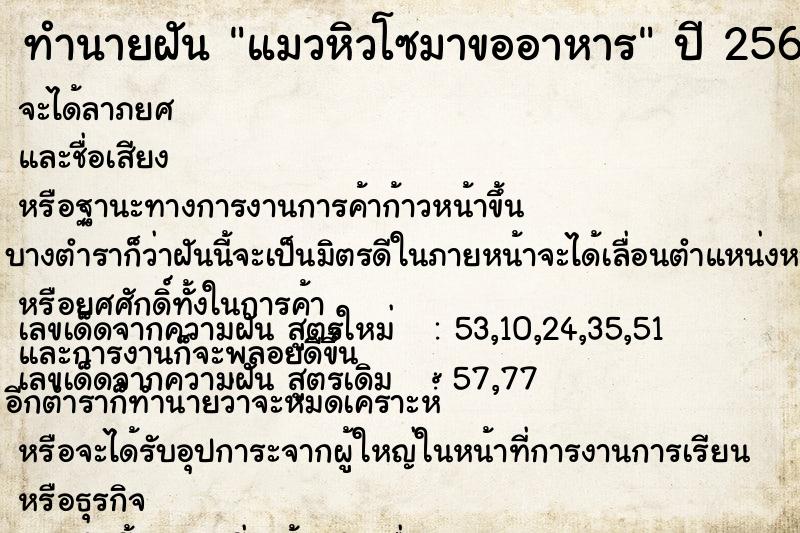 ทำนายฝัน แมวหิวโซมาขออาหาร ทำนายฝัน แมวหิวโซมาขออาหาร