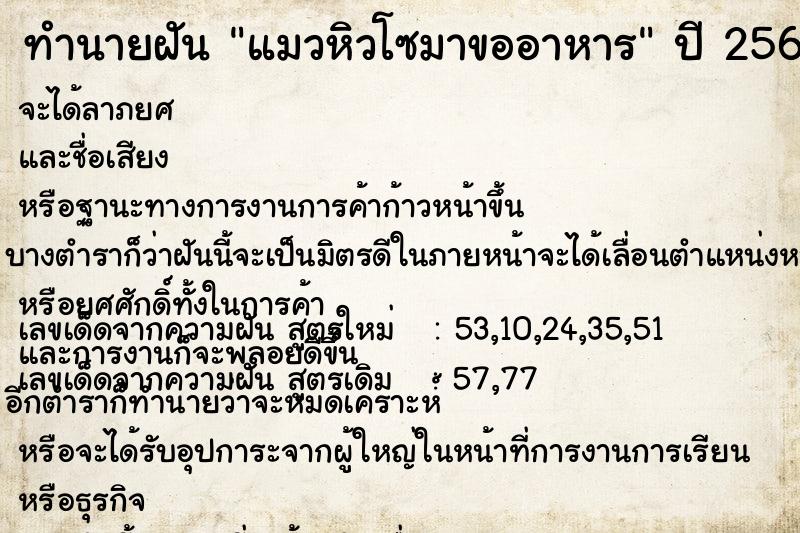 ทำนายฝัน แมวหิวโซมาขออาหาร ตำราโบราณ แม่นที่สุดในโลก