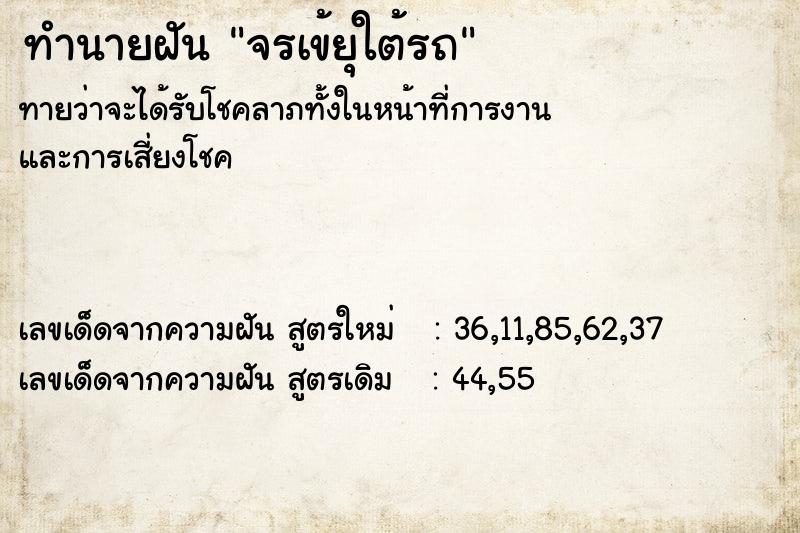 ทำนายฝันจรเข้ยุใต้รถ ทำนายฝันทำนายฝันจรเข้ยุใต้รถ