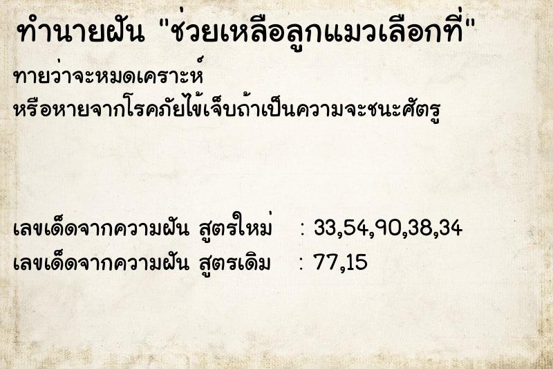 ทำนายฝันทำนายฝันช่วยเหลือลูกแมวเลือกที่