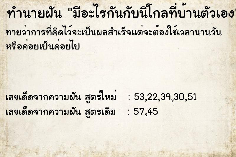 ทำนายฝันมีอะไรกันกับนิโกลที่บ้านตัวเอง ทำนายฝันทำนายฝันมีอะไรกันกับนิโกลที่บ้านตัวเอง