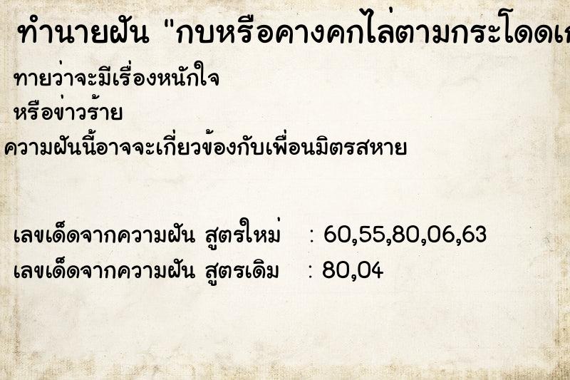 ทำนายฝัน กบหรือคางคกไล่ตามกระโดดเกาะ ทำนายฝัน กบหรือคางคกไล่ตามกระโดดเกาะ