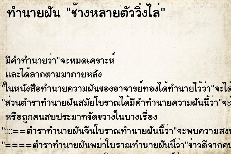 ทำนายฝัน ช้างหลายตัววิ่งไล่ ทำนายฝัน ช้างหลายตัววิ่งไล่