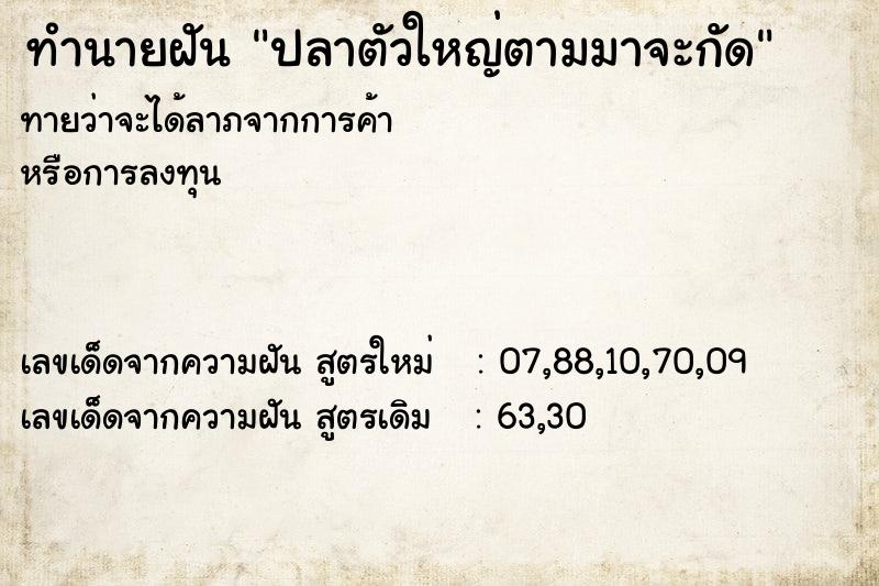 ทำนายฝันปลาตัวใหญ่ตามมาจะกัด ทำนายฝันทำนายฝันปลาตัวใหญ่ตามมาจะกัด