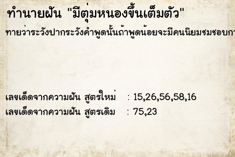 ทำนายฝันทำนายฝันมีตุ่มหนองขึ้นเต็มตัว