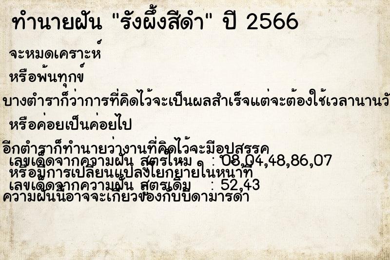 ทำนายฝัน รังผึ้งสีดำ ทำนายฝัน รังผึ้งสีดำ