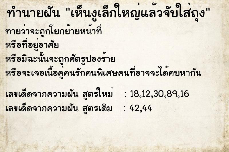 ทำนายฝันทำนายฝันเห็นงูเล็กใหญ่แล้วจับใส่ถุง