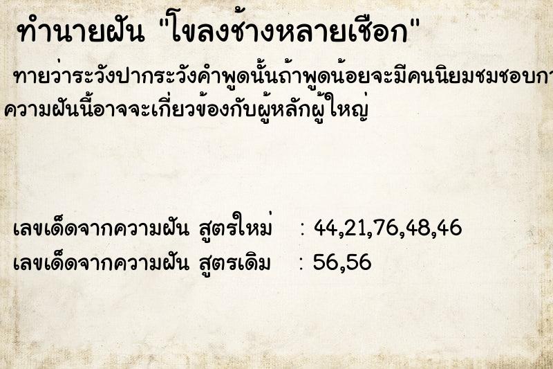 ทำนายฝันโขลงช้างหลายเชือก ทำนายฝันทำนายฝันโขลงช้างหลายเชือก
