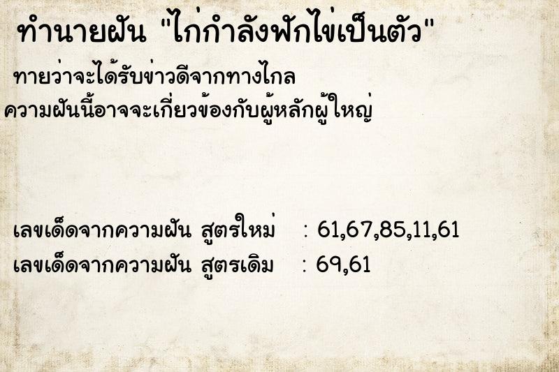 ทำนายฝัน ไก่กำลังฟักไข่เป็นตัว ทำนายฝัน ไก่กำลังฟักไข่เป็นตัว