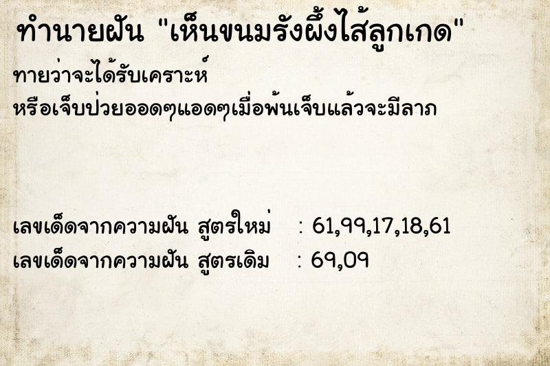 ทำนายฝันเห็นขนมรังผึ้งไส้ลูกเกด ทำนายฝันทำนายฝันเห็นขนมรังผึ้งไส้ลูกเกด