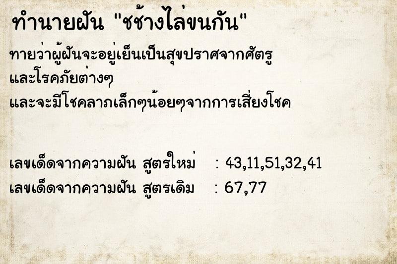 ทำนายฝันทำนายฝันชช้างไล่ขนกัน