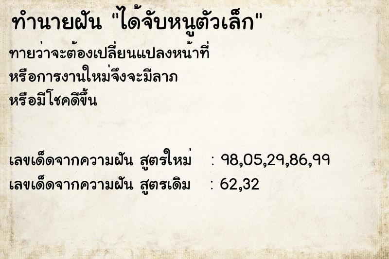 ทำนายฝันทำนายฝันได้จับหนูตัวเล็ก