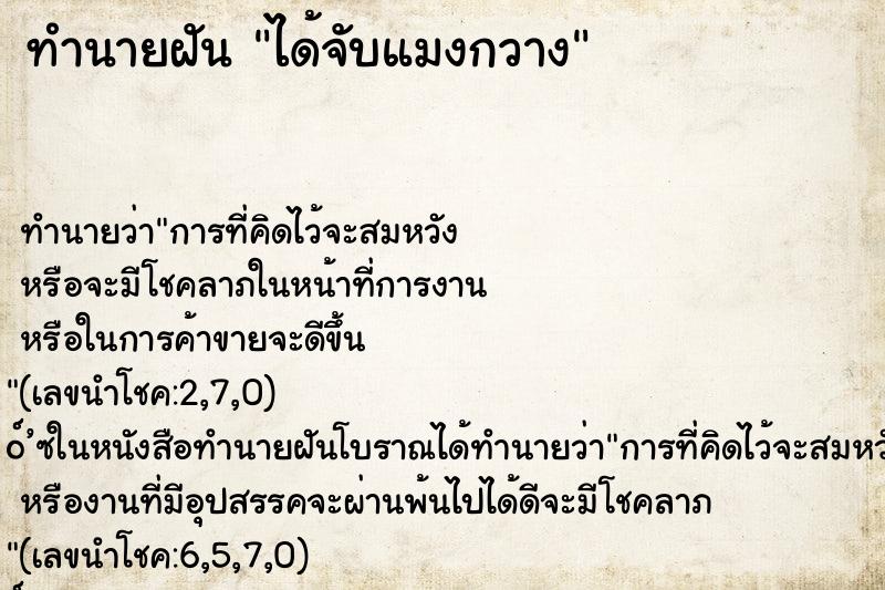 ทำนายฝัน ได้จับแมงกวาง ตำราโบราณ แม่นที่สุดในโลก