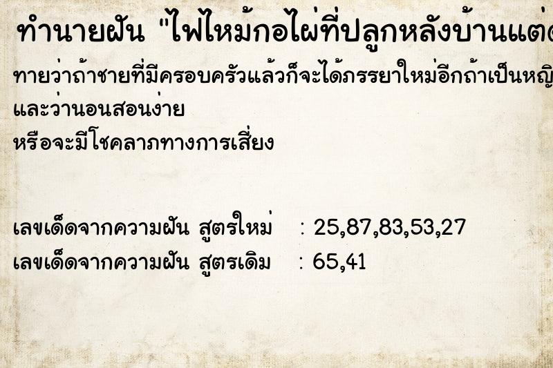 ทำนายฝันไฟไหม้กอไผ่ที่ปลูกหลังบ้านแต่ดับไฟได้ ทำนายฝันทำนายฝันไฟไหม้กอไผ่ที่ปลูกหลังบ้านแต่ดับไฟได้