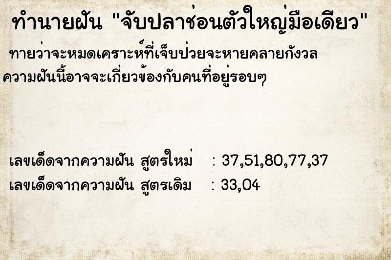 ทำนายฝัน จับปลาช่อนตัวใหญ่มือเดียว ทำนายฝัน จับปลาช่อนตัวใหญ่มือเดียว