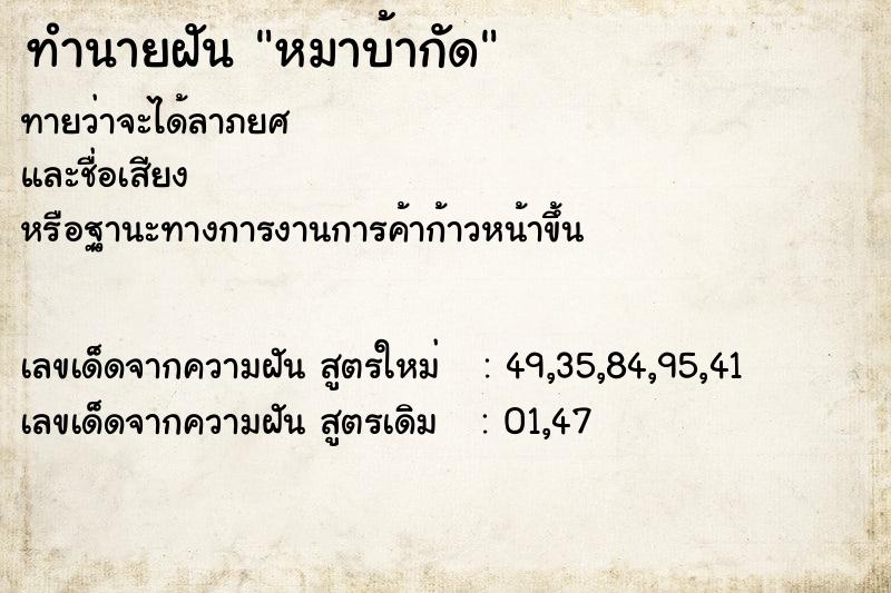 ทำนายฝันหมาบ้ากัด ทำนายฝันทำนายฝันหมาบ้ากัด