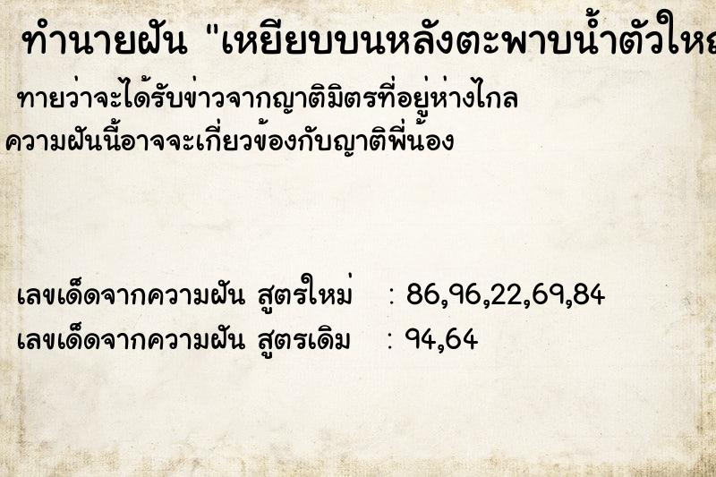 ทำนายฝันเหยียบบนหลังตะพาบน้ำตัวใหญ่มาก ทำนายฝันทำนายฝันเหยียบบนหลังตะพาบน้ำตัวใหญ่มาก