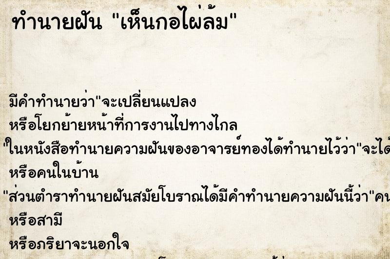 ทำนายฝัน เห็นกอไผ่ล้ม ตำราโบราณ แม่นที่สุดในโลก