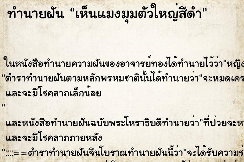 ทำนายฝันเห็นแมงมุมตัวใหญ่สีดำ ทำนายฝันทำนายฝันเห็นแมงมุมตัวใหญ่สีดำ