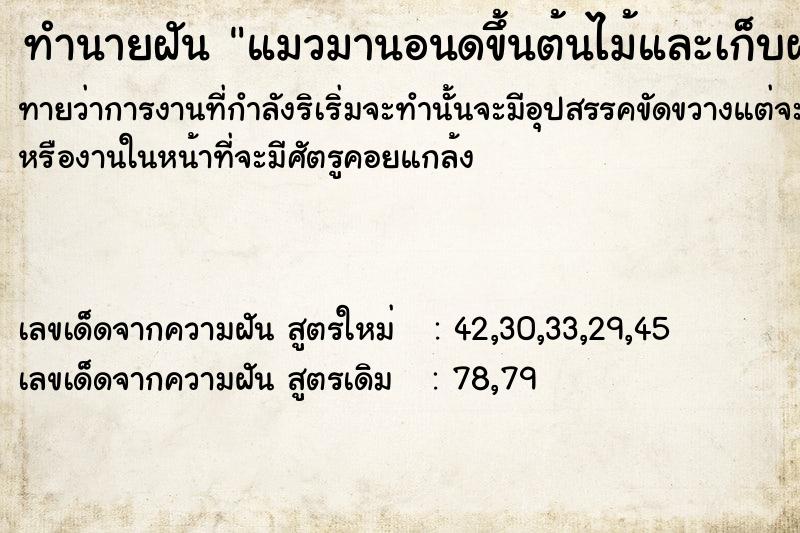 ทำนายฝันทำนายฝันแมวมานอนดขึ้นต้นไม้และเก็บผลà