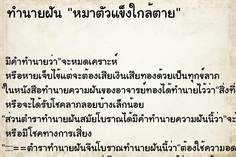 ทำนายฝัน หมาตัวแข็งใกล้ตาย ทำนายฝัน หมาตัวแข็งใกล้ตาย