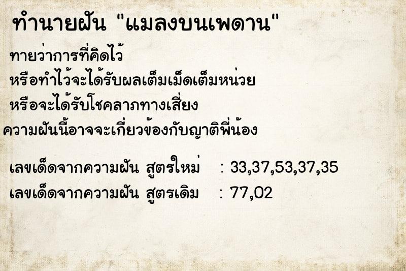 ทำนายฝันแมลงบนเพดาน ทำนายฝันทำนายฝันแมลงบนเพดาน