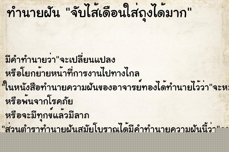 ทำนายฝันทำนายฝันจับไส้เดือนใส่ถุงได้มาก