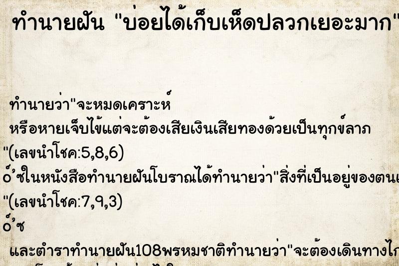 ทำนายฝัน บ่อยได้เก็บเห็ดปลวกเยอะมาก