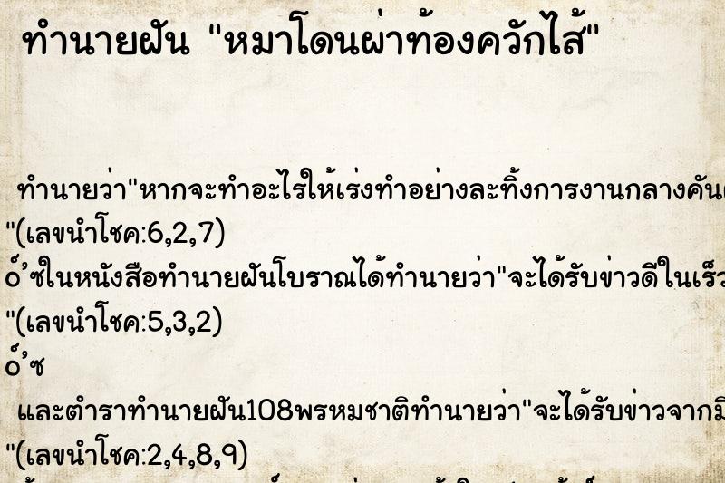 ทำนายฝัน หมาโดนผ่าท้องควักไส้