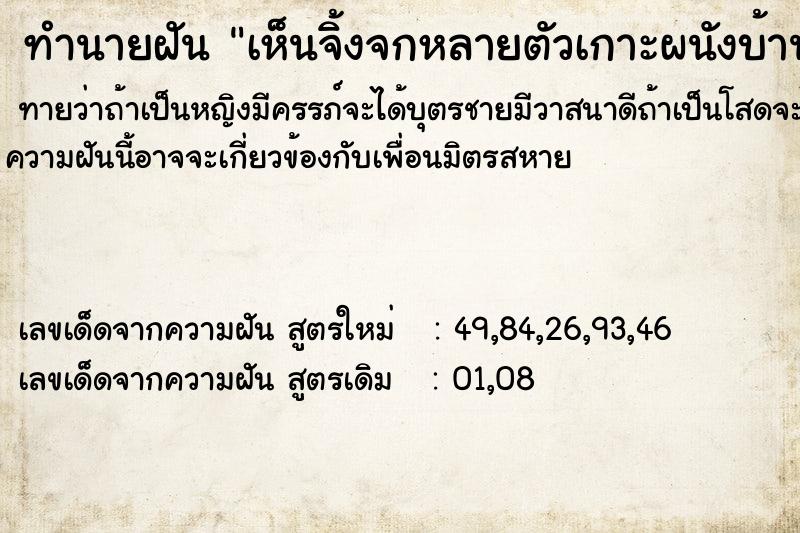 ทำนายฝันเห็นจิ้งจกหลายตัวเกาะผนังบ้าน ทำนายฝันทำนายฝันเห็นจิ้งจกหลายตัวเกาะผนังบ้าน